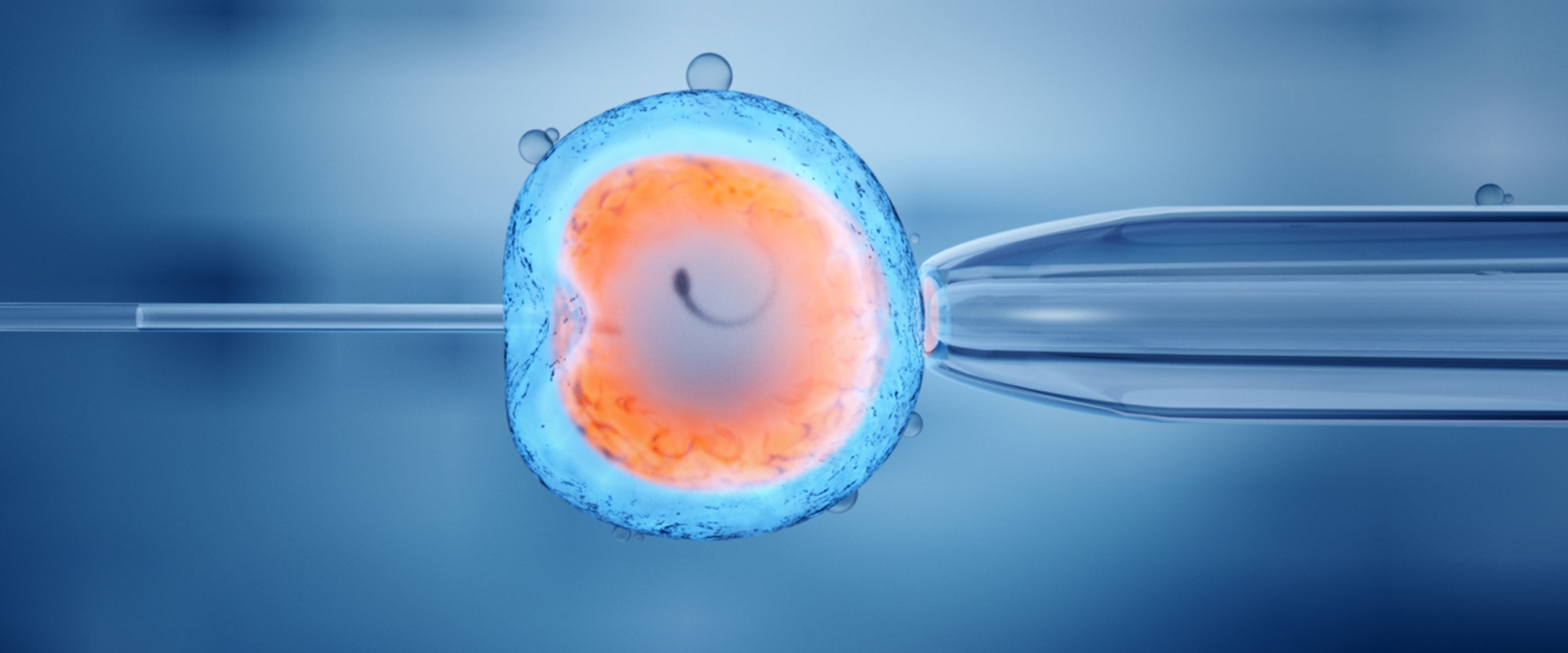 A Comprehensive Look at Fertility Treatments for Women
