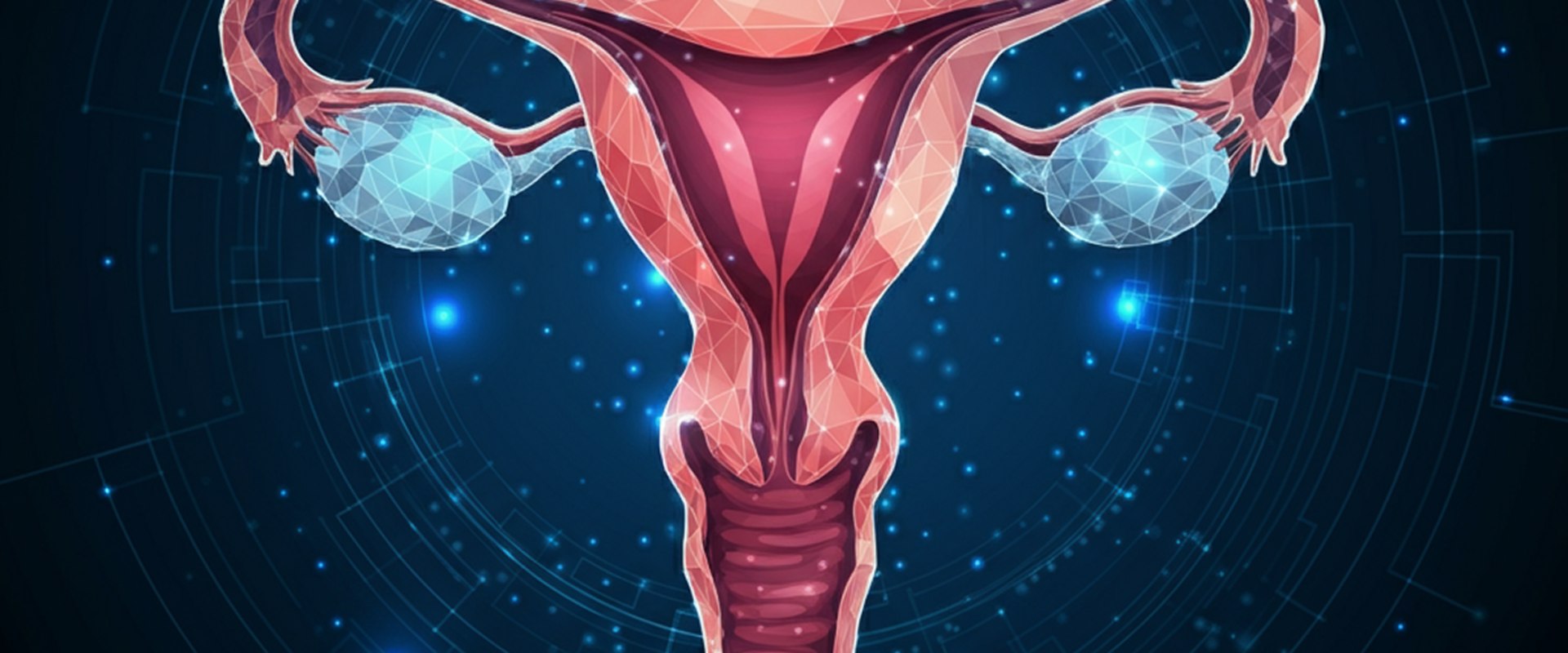 A Comprehensive Guide to Endometrial Ablation: Understanding Women's Health Treatments and Procedures