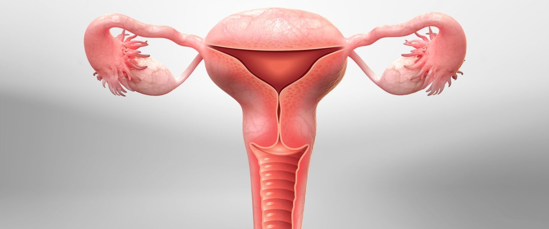 Understanding Hysterectomy: Everything You Need to Know