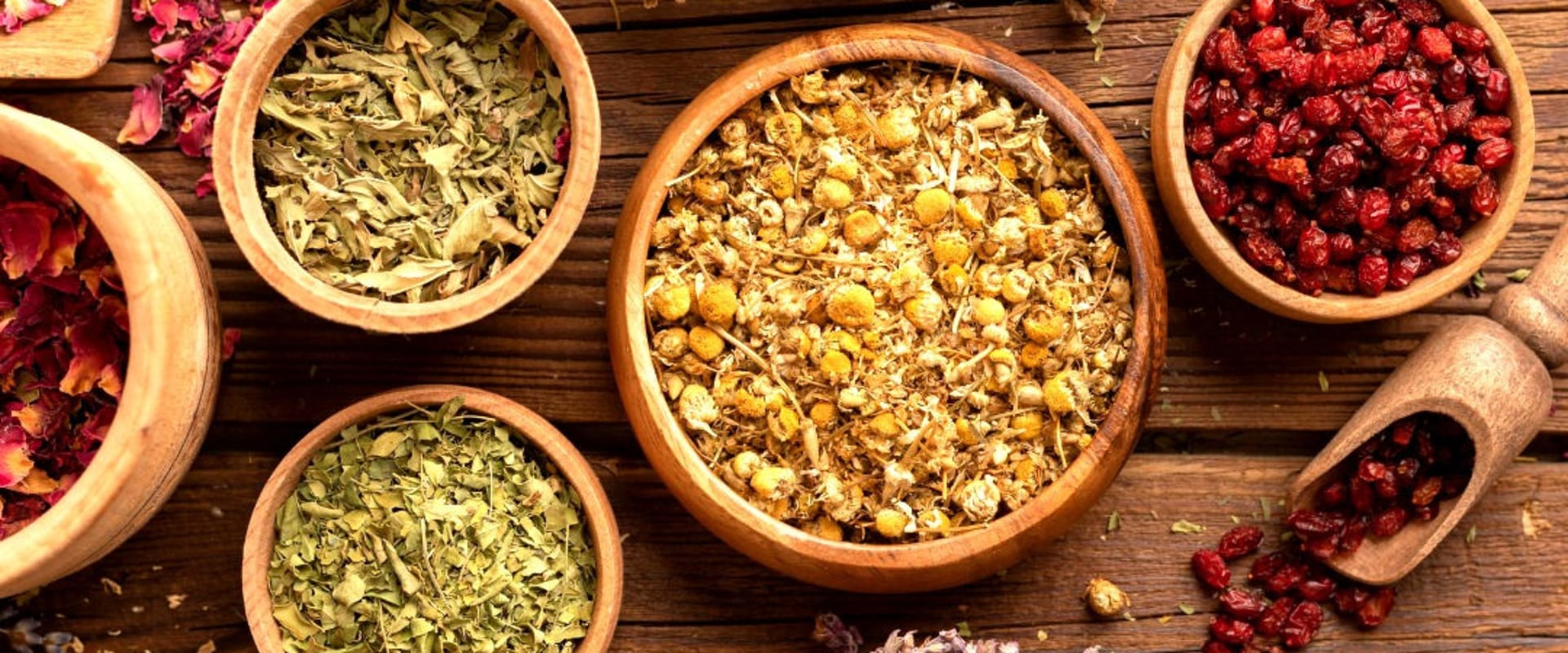 Treatment for Hormonal Imbalances: A Comprehensive Guide