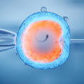 A Comprehensive Look at Fertility Treatments for Women