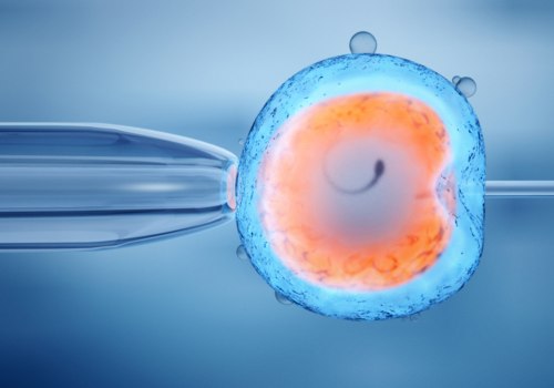 A Comprehensive Look at Fertility Treatments for Women