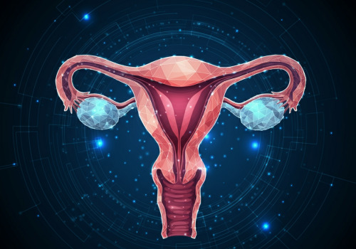 A Comprehensive Guide to Endometrial Ablation: Understanding Women's Health Treatments and Procedures